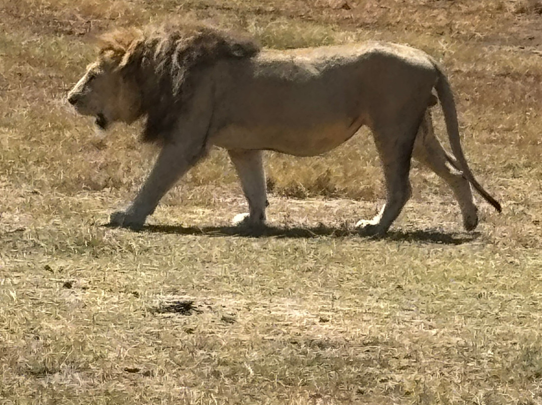 Exotic Wilderness-Seronera必去景点