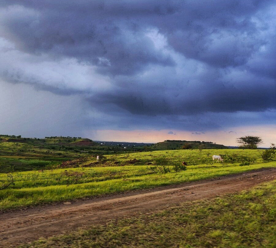 Grassland Safari Maharashtra - Kadbanwadi-Baramati必去景点