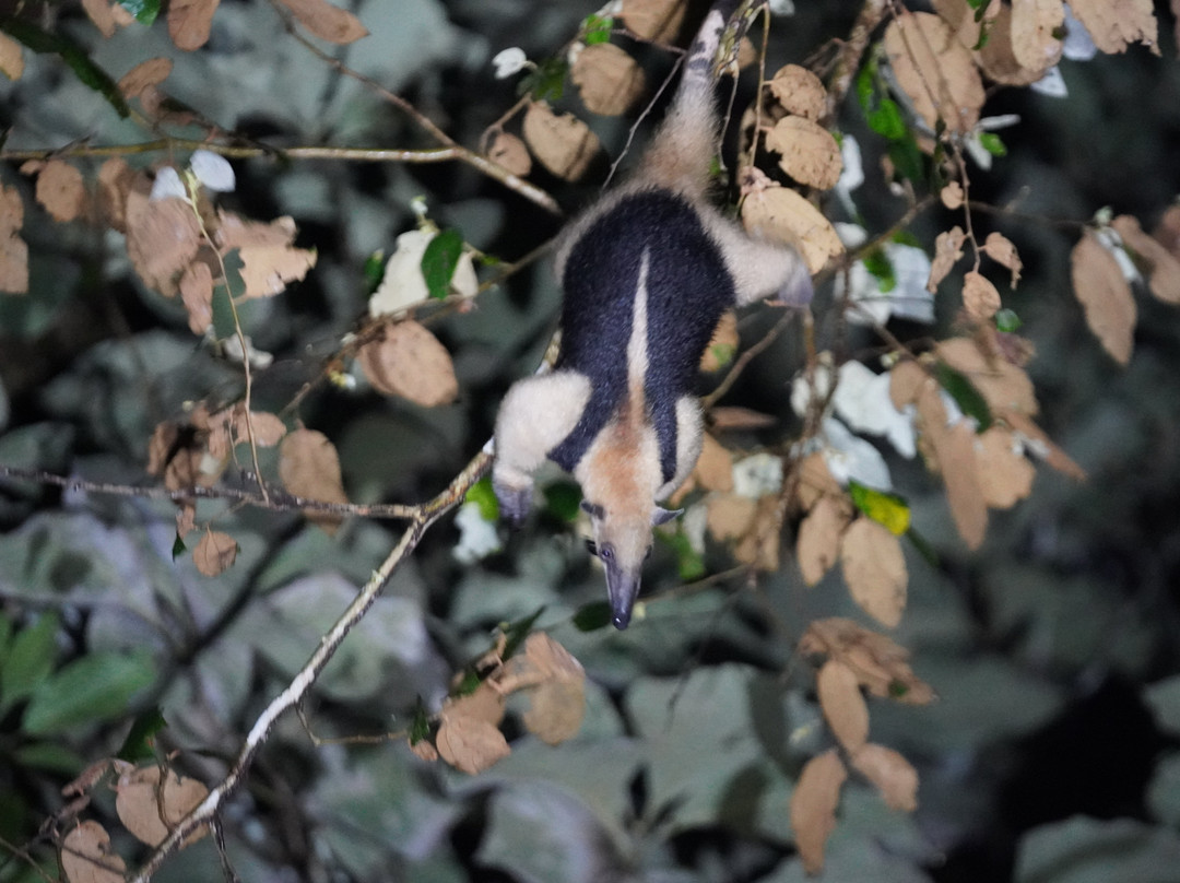 Tarantulas Way-卡维塔必去景点