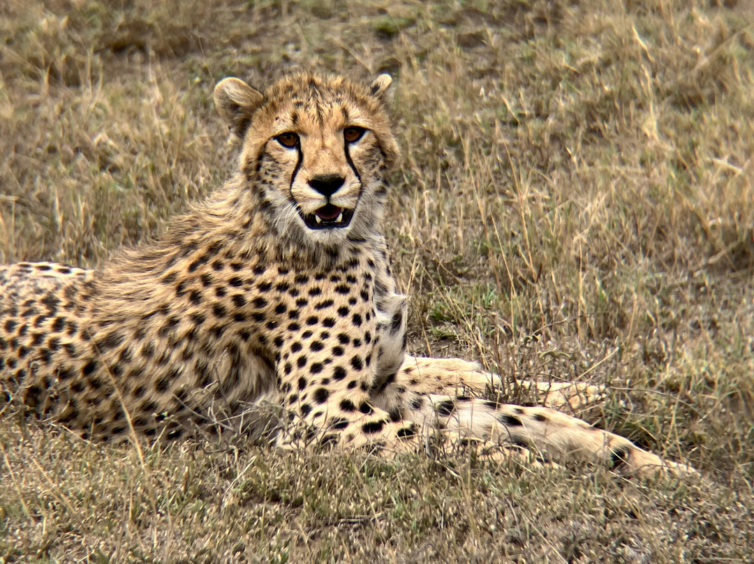 Access2Tanzania-阿鲁沙必去景点