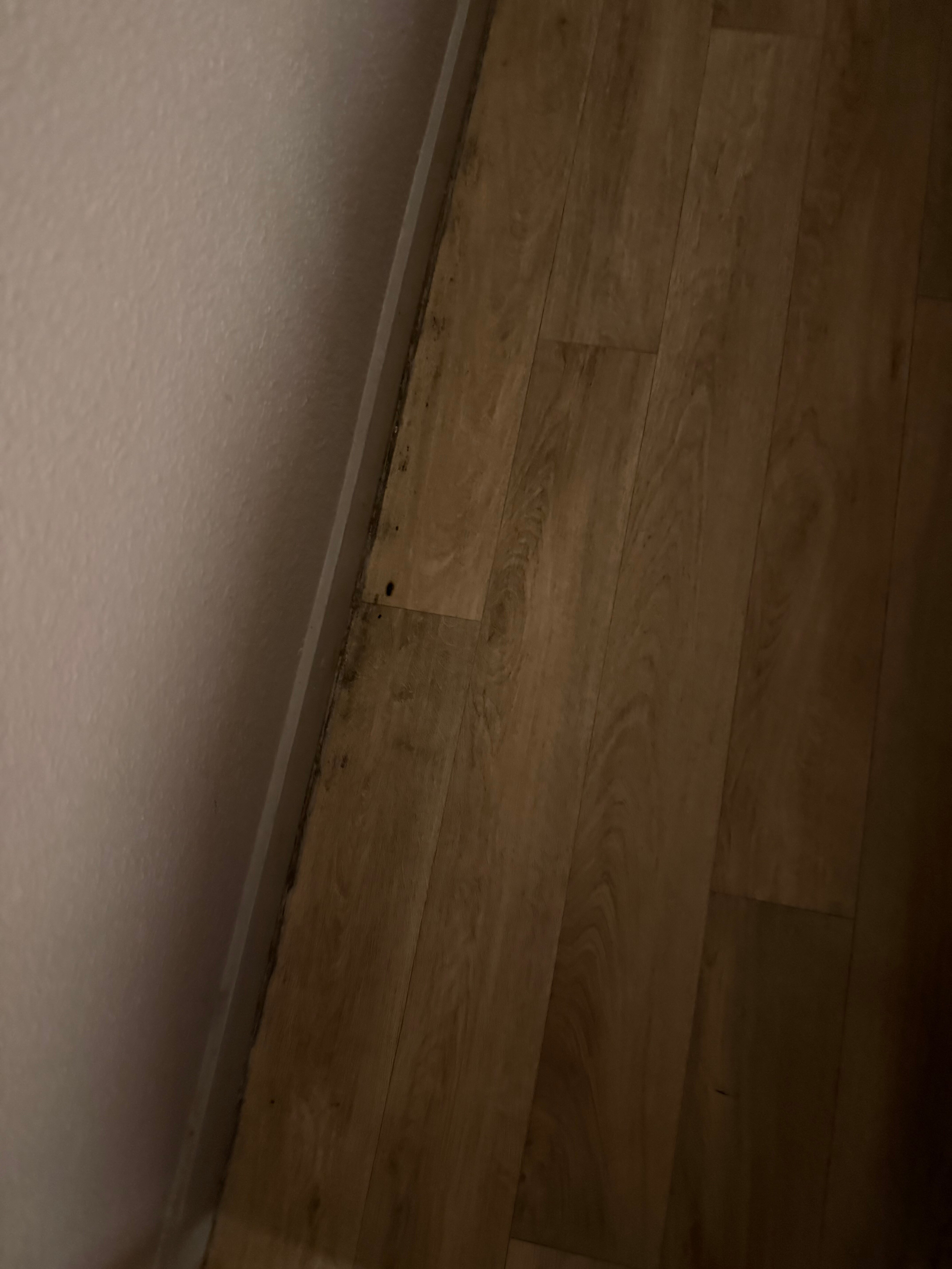 Fasthotel Reims - Taissy-官方