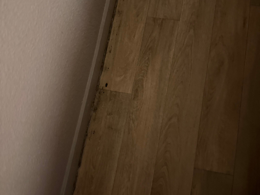 Fasthotel Reims - Taissy主图