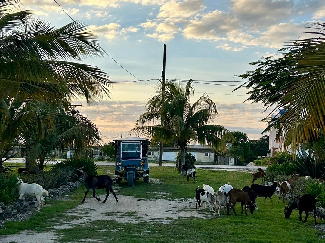 Ruscubadive-巴拉德罗必去景点