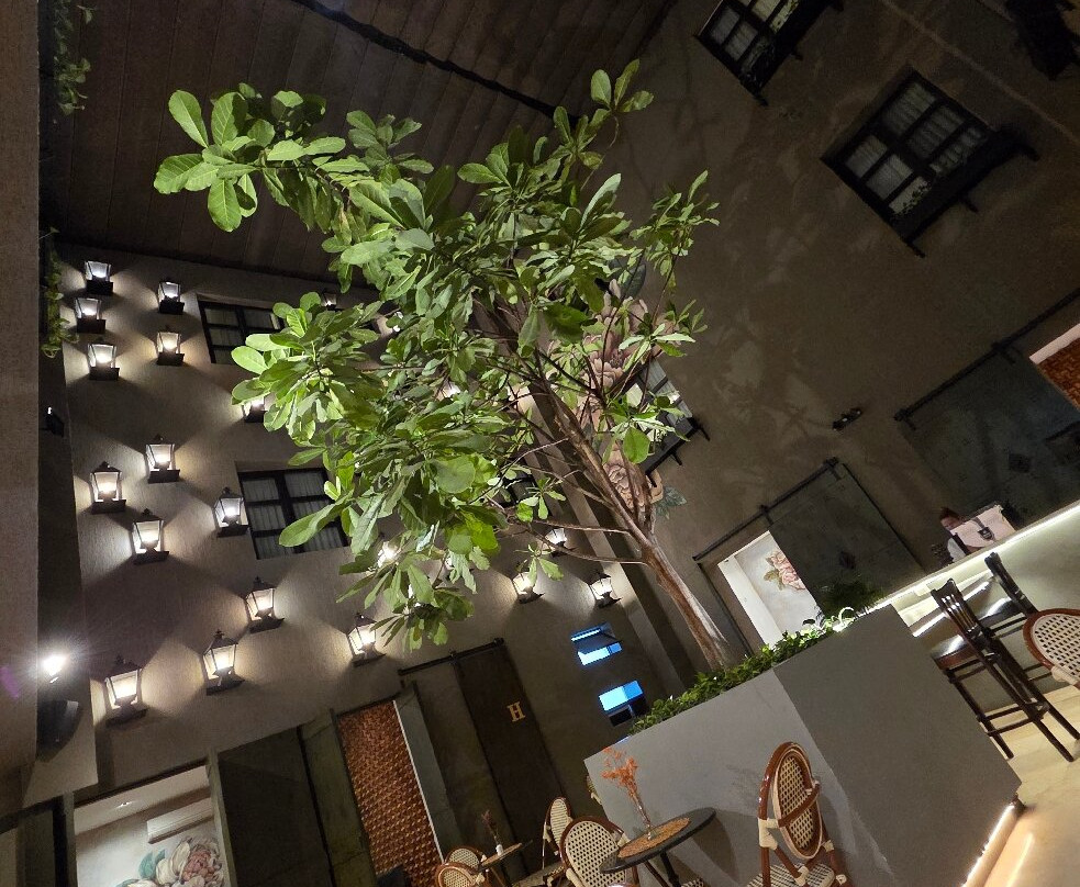 卡利里奥大道 NH主图