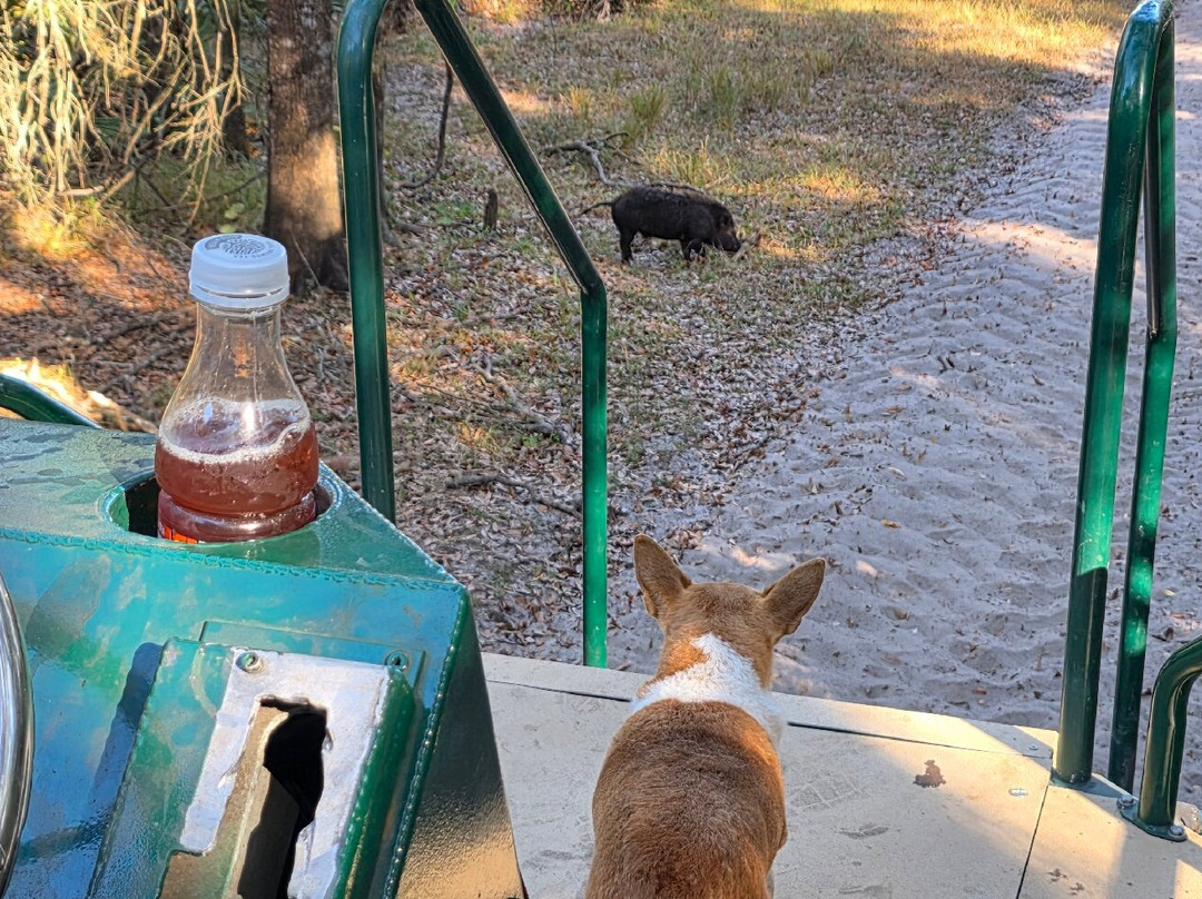 Fossil Expeditions-阿卡迪亚必去景点