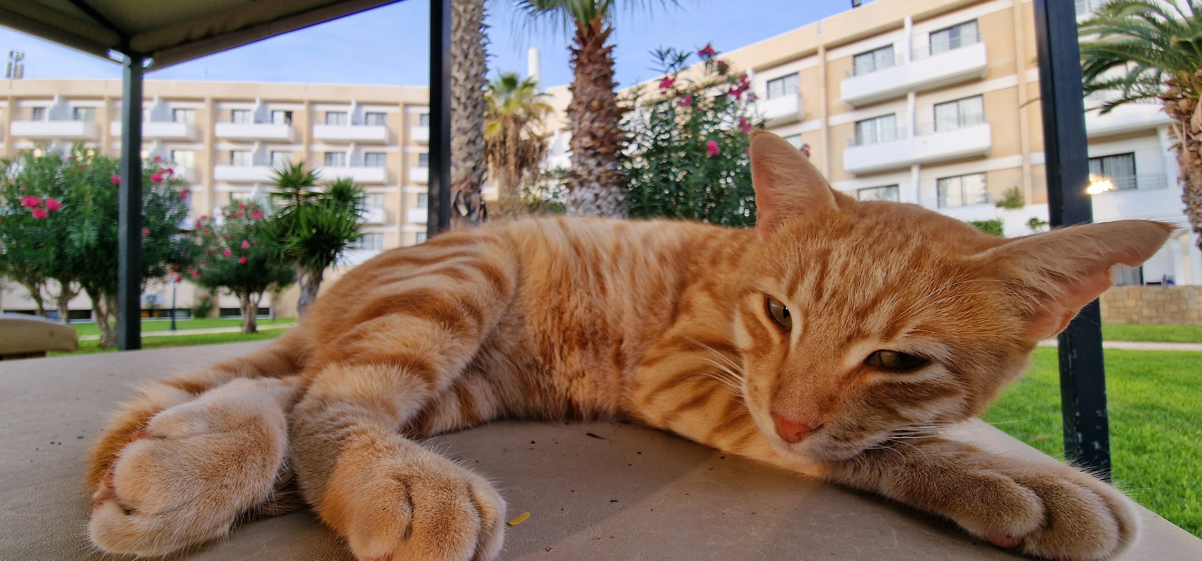 Louis Phaethon Beach-浴室