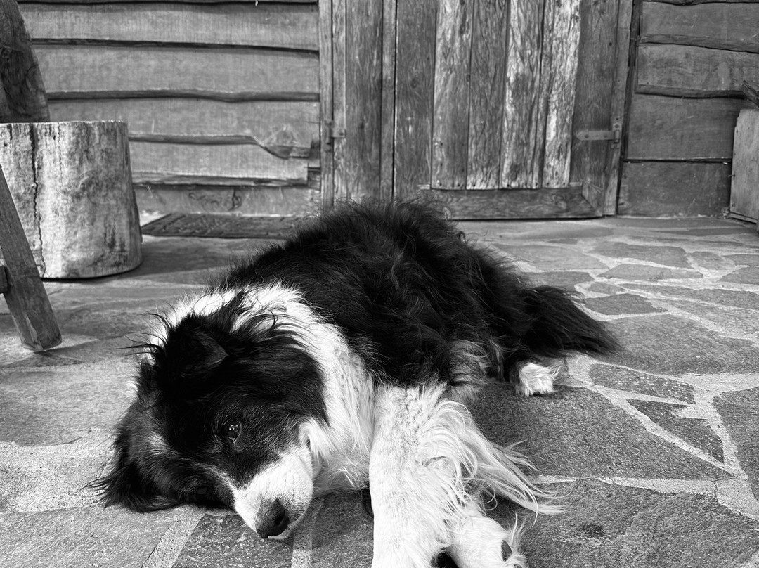 Senderos Patagonia-Villa Cerro Castillo必去景点
