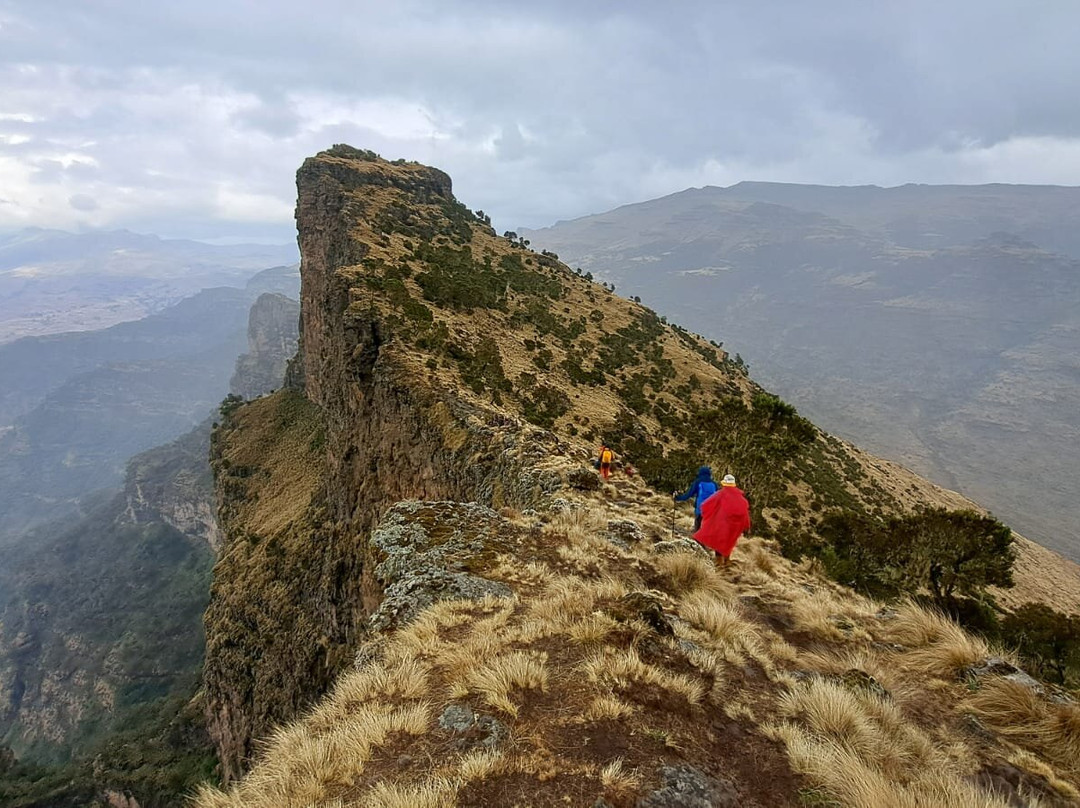 Imagine Ethiopia Tours - Day Tours-亚的斯亚贝巴必去景点