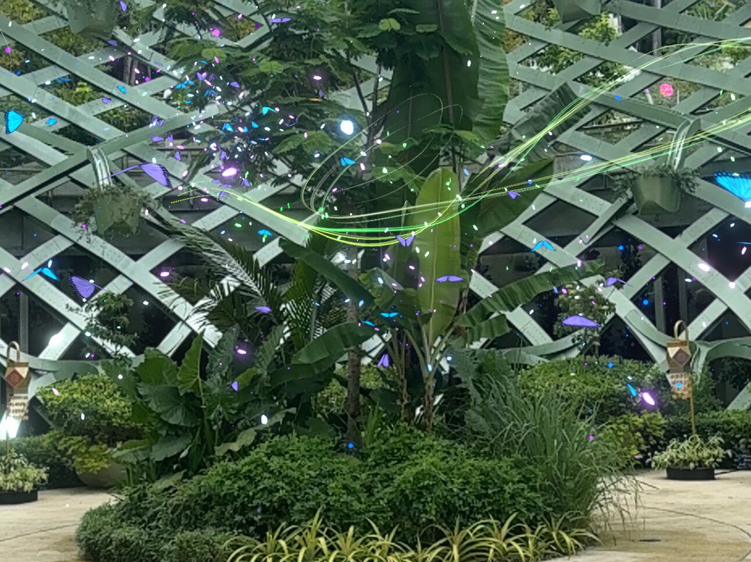 Sentosa SensoryScape-新加坡必去景点