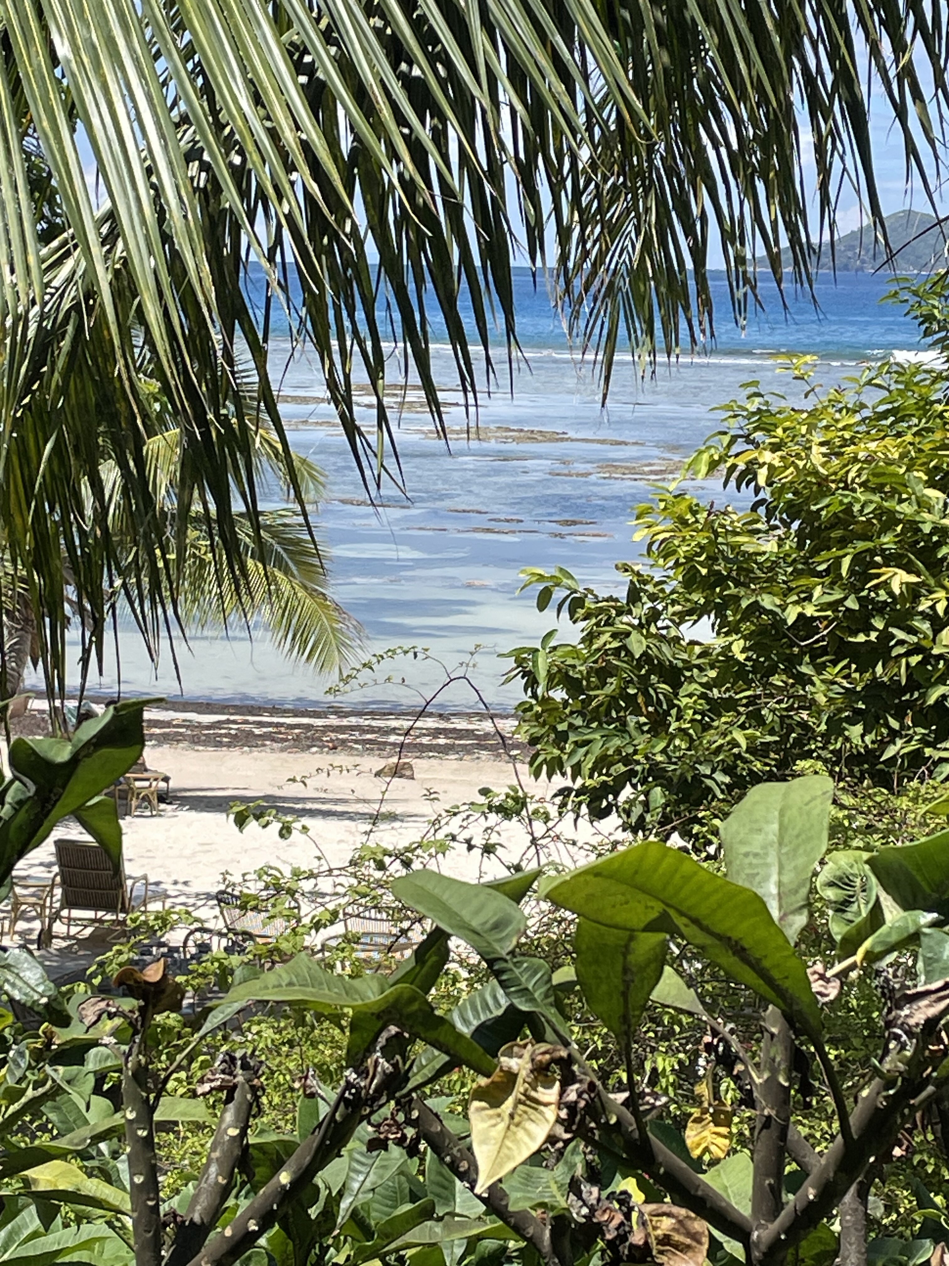 勒利派尔精品酒店-泳池