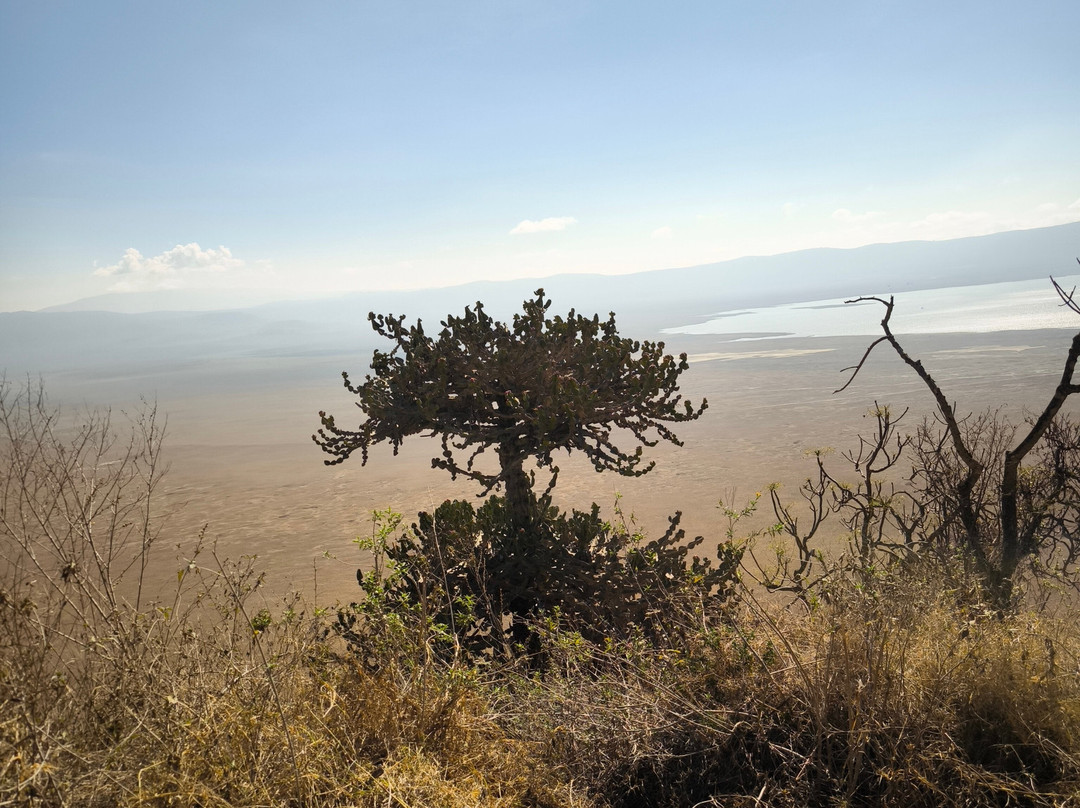 Wajefya Expeditions Ltd-Arusha Chini必去景点