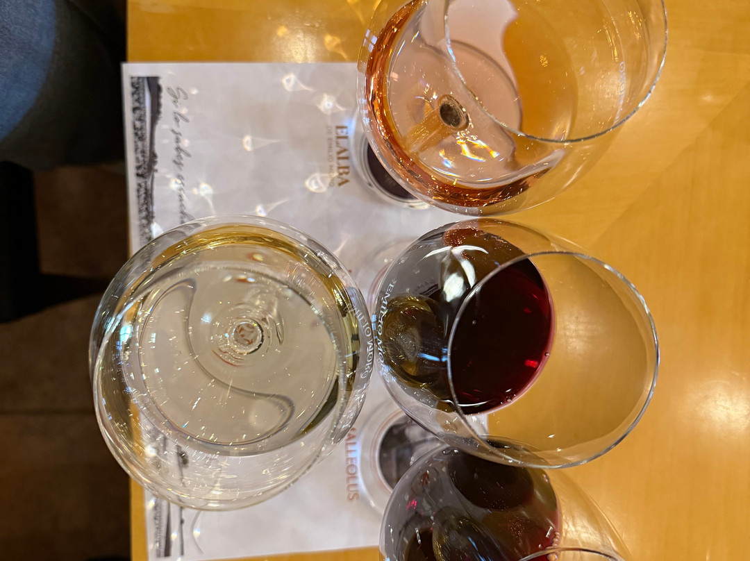 Bodegas Emilio Moro-Pesquera de Duero必去景点