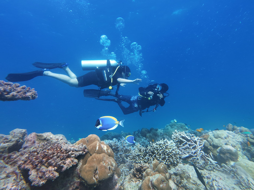 Turquoise Dream | PADI Dive Centre-Neil Island必去景点