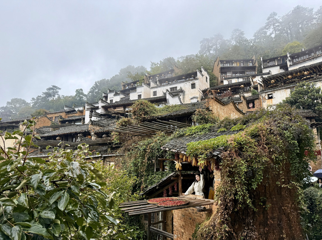 婺源篁岭景区-婺源县必去景点
