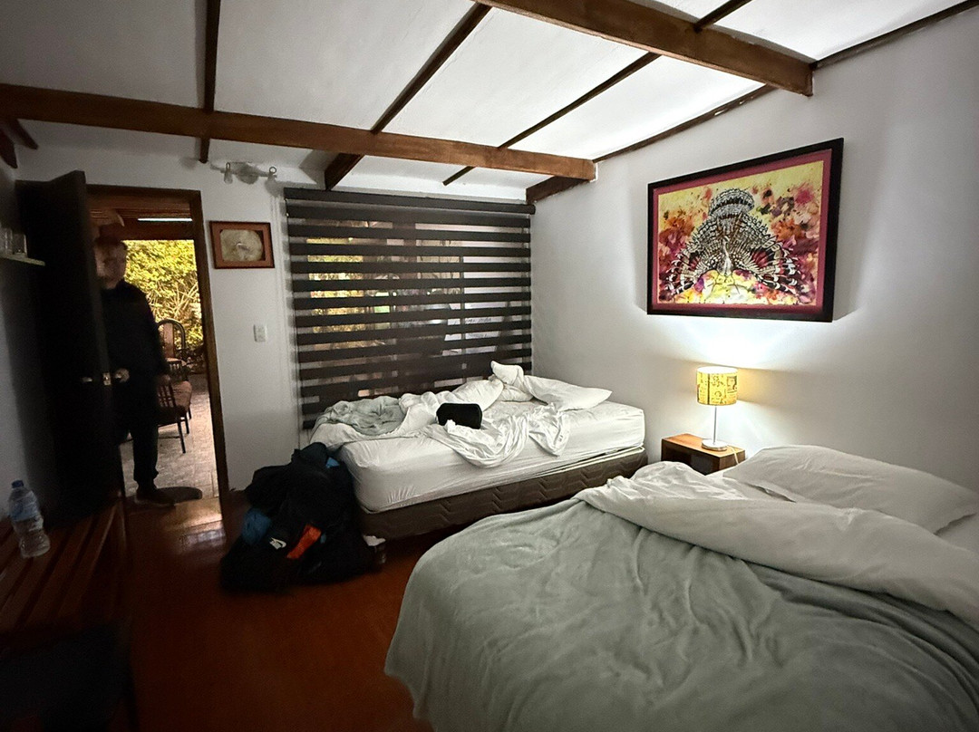 Puembo Birding Garden主图