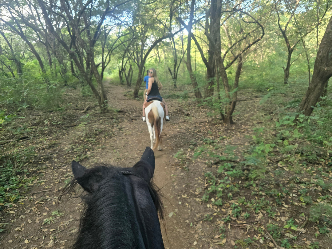 The Monkey Farm-Playa Ocotal必去景点