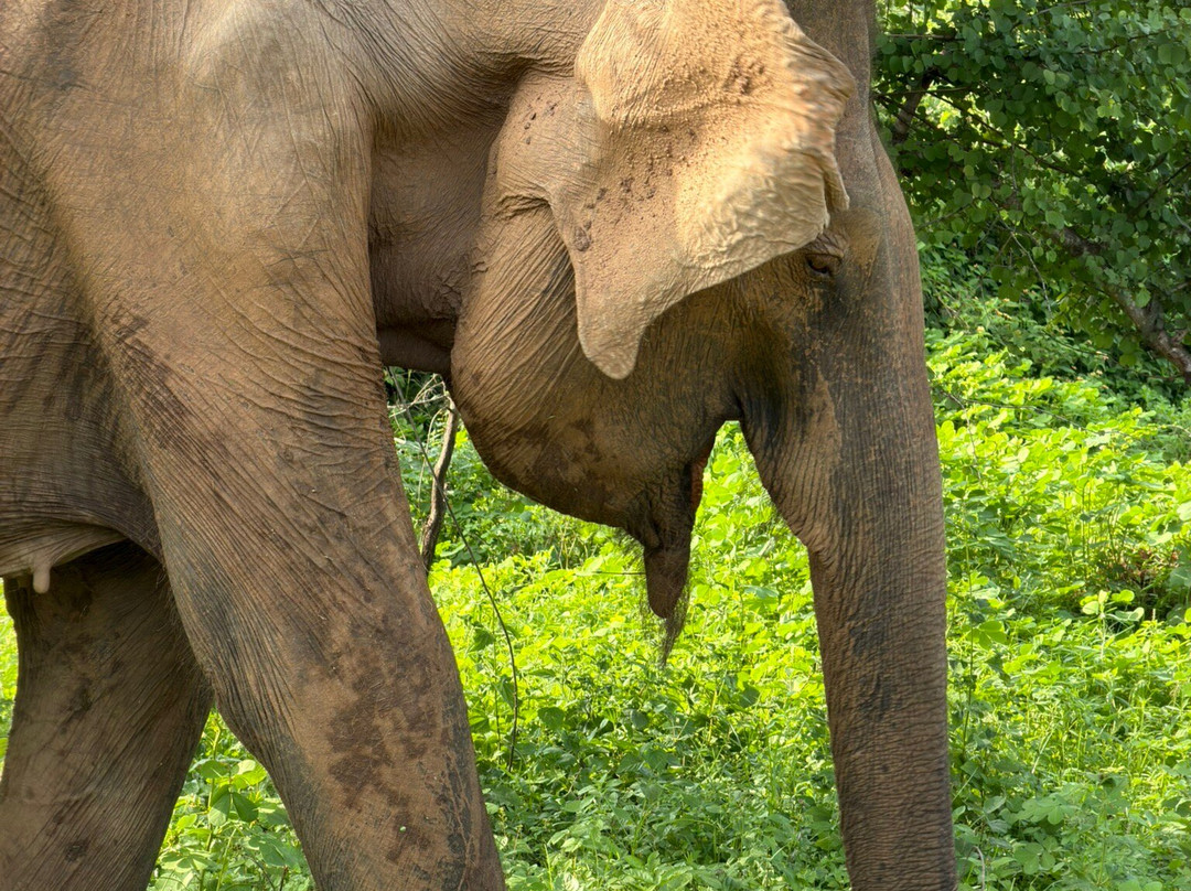 One & Only Travels-Kurunegala必去景点