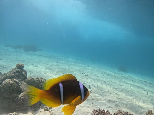 Erlebnis Ägypten-Safaga必去景点