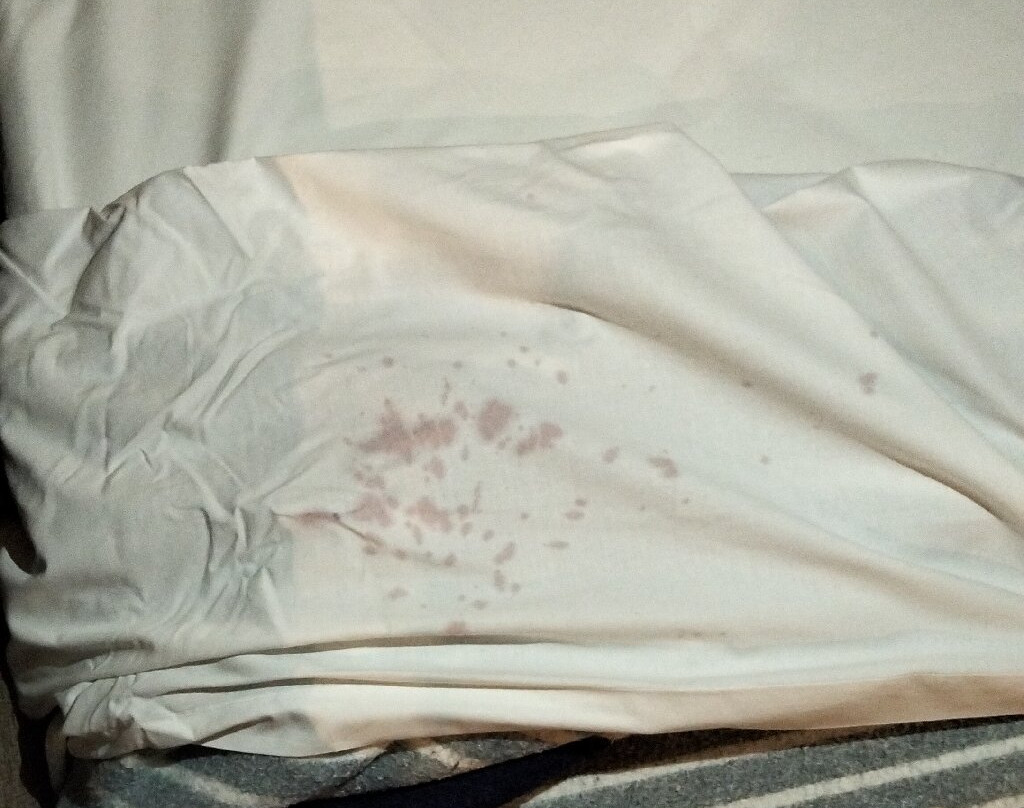 Puerta de Leon Apartaments主图