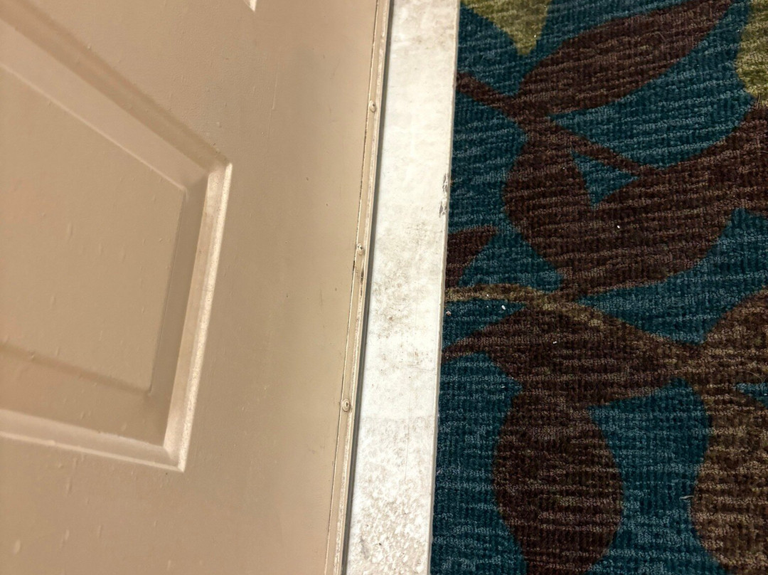 威奇托东北蜡木套房酒店主图