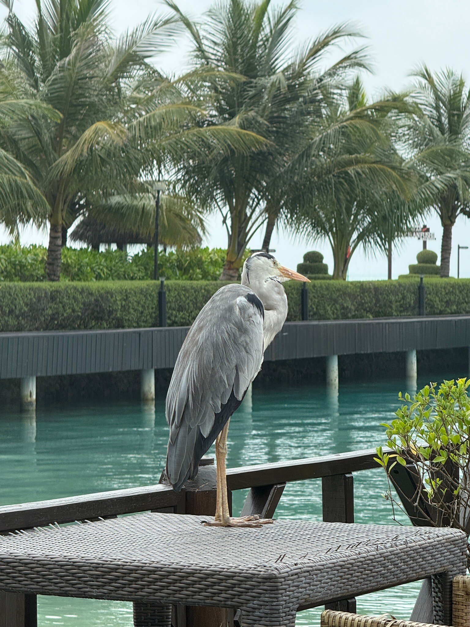 阿达兰胡度兰岛度假村-官方
