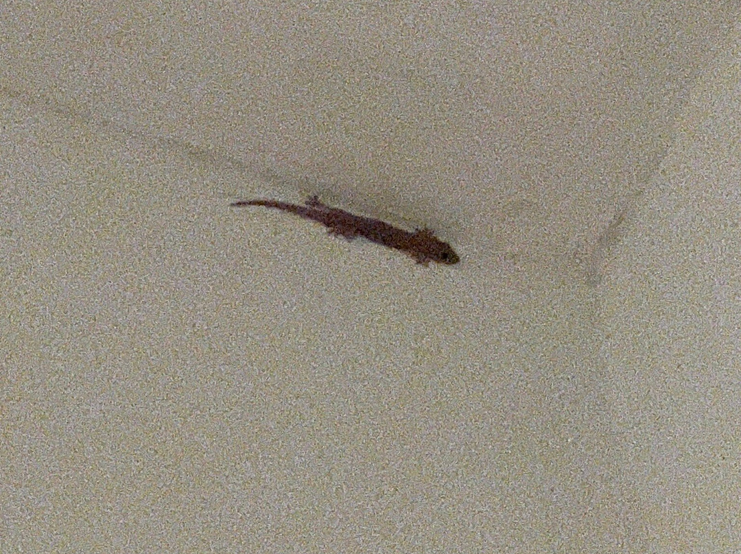 Samutra Residences主图