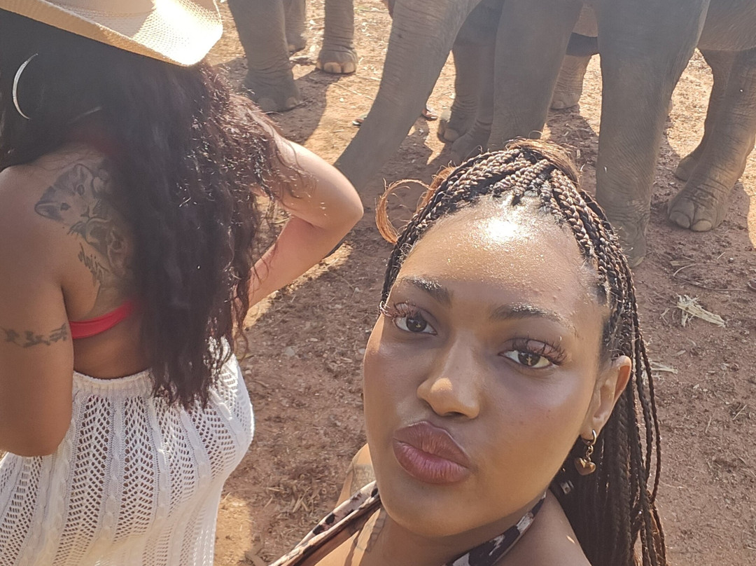 The Lake Phuket Elephant Home-Thep Krasatti必去景点