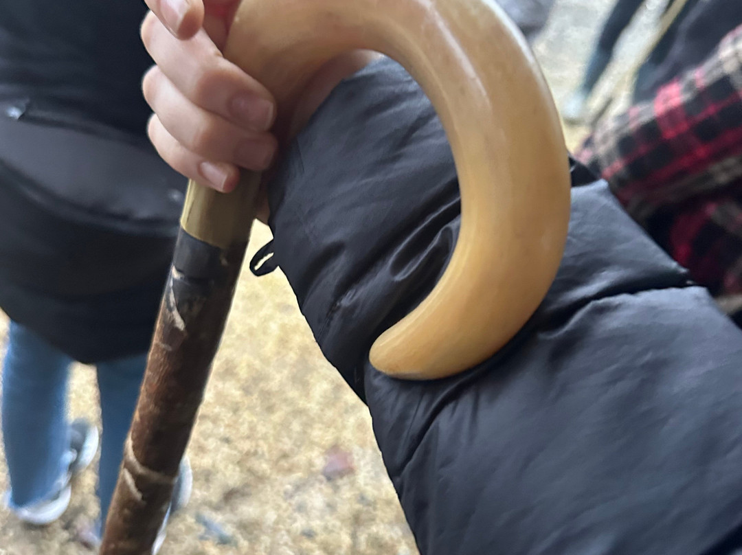 Sheep Smarts-Rathdrum必去景点