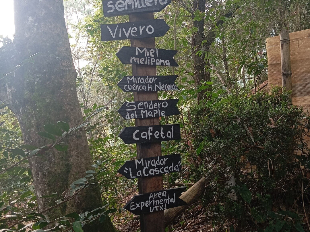 El Catador Tour del Cafe & Catacion-Xicotepec必去景点