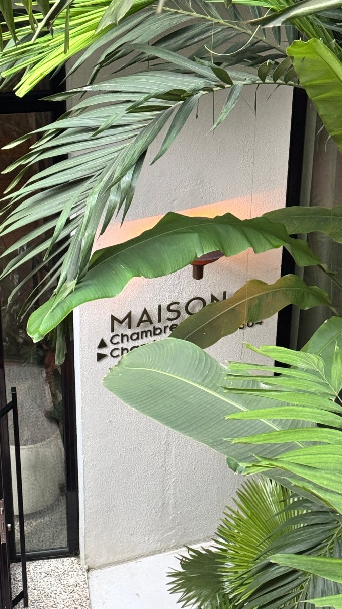 棕榈树之家，设计酒店成员-泳池