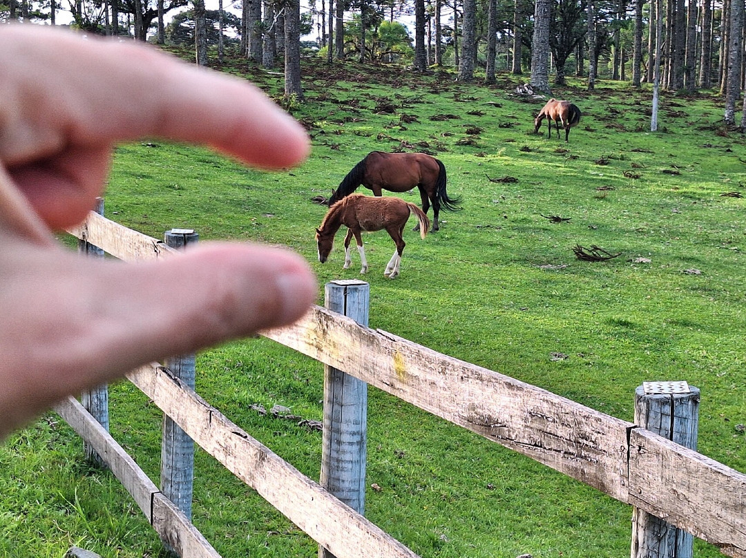 Salto do Engenho-Campo Alegre必去景点