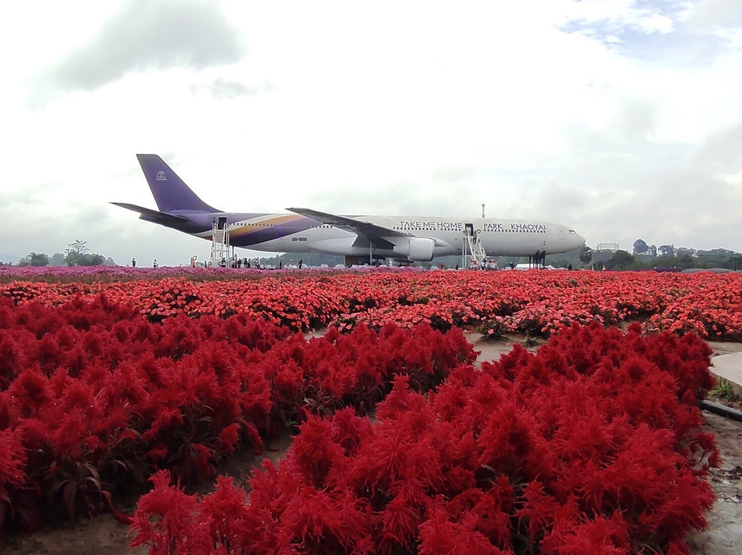 Peter Bangkok Taxi-曼谷必去景点