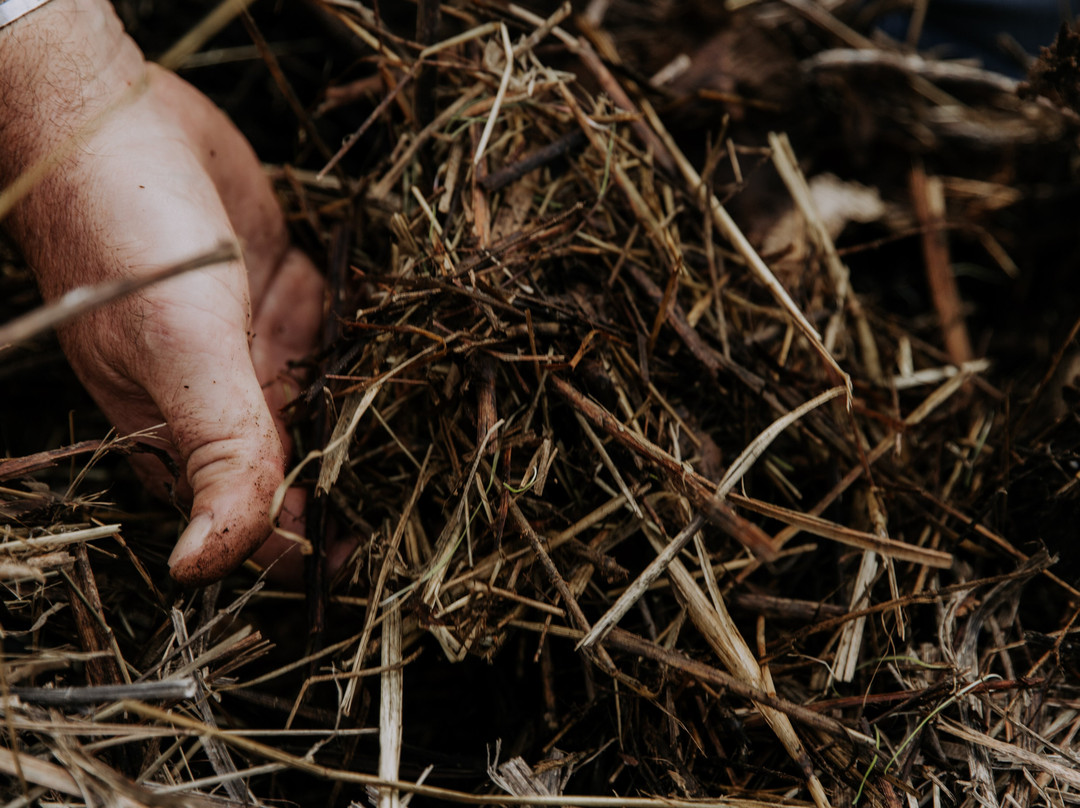 La Grande Sieste-Aniane必去景点