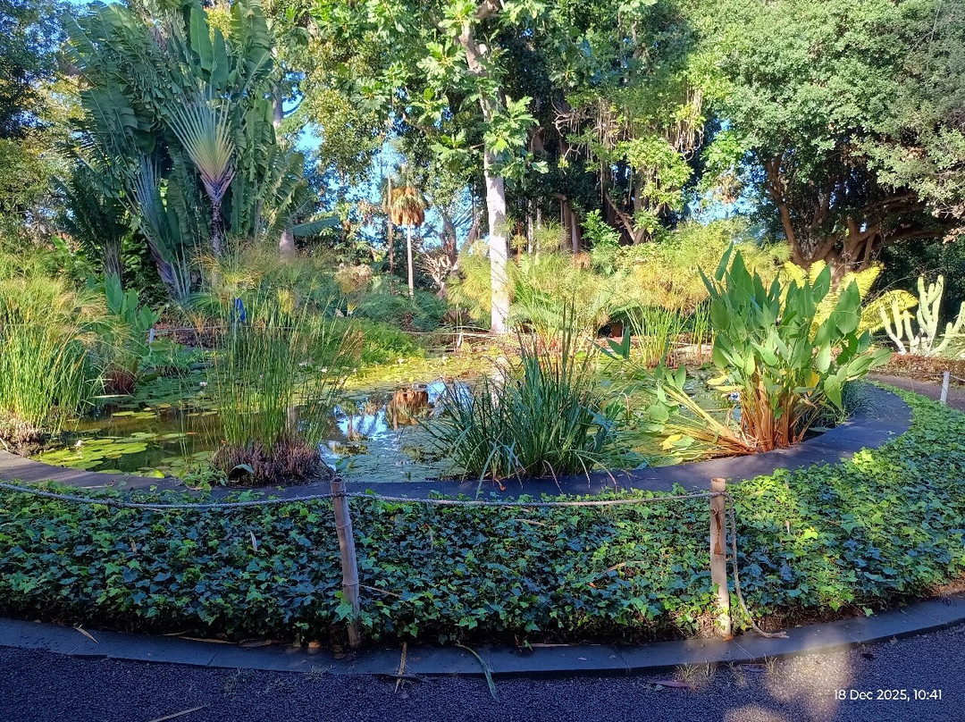 Botanischer Garten-德拉克鲁兹索尔港必去景点