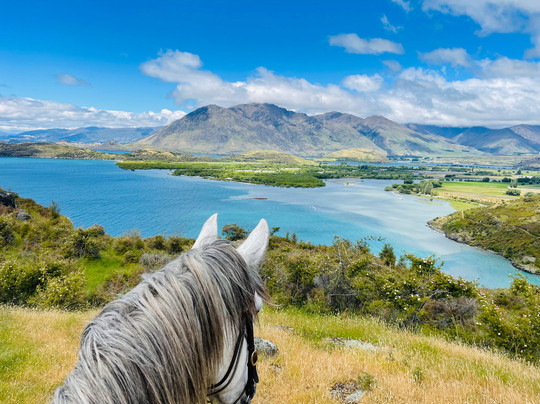 Wanaka Horse Trekking-瓦纳卡必去景点