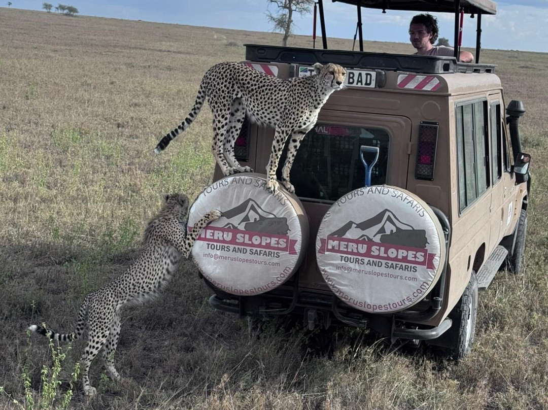 Meru Slopes Tours & Safaris-阿鲁沙必去景点
