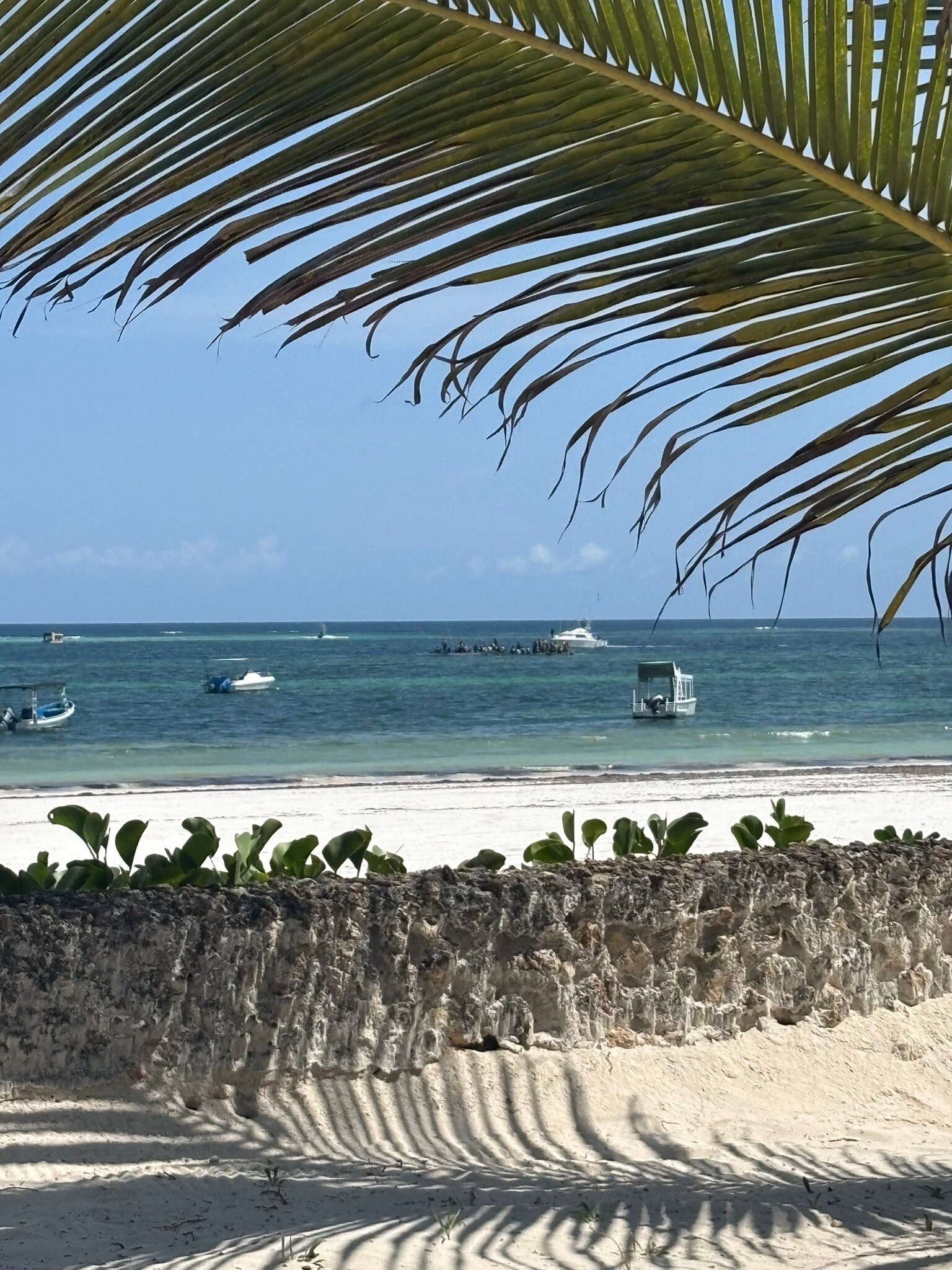 Ocean Village Club-官方