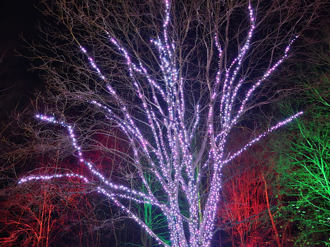 Heritage Wood-阿什伯恩必去景点