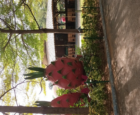 Ekta Nursery-Gora必去景点