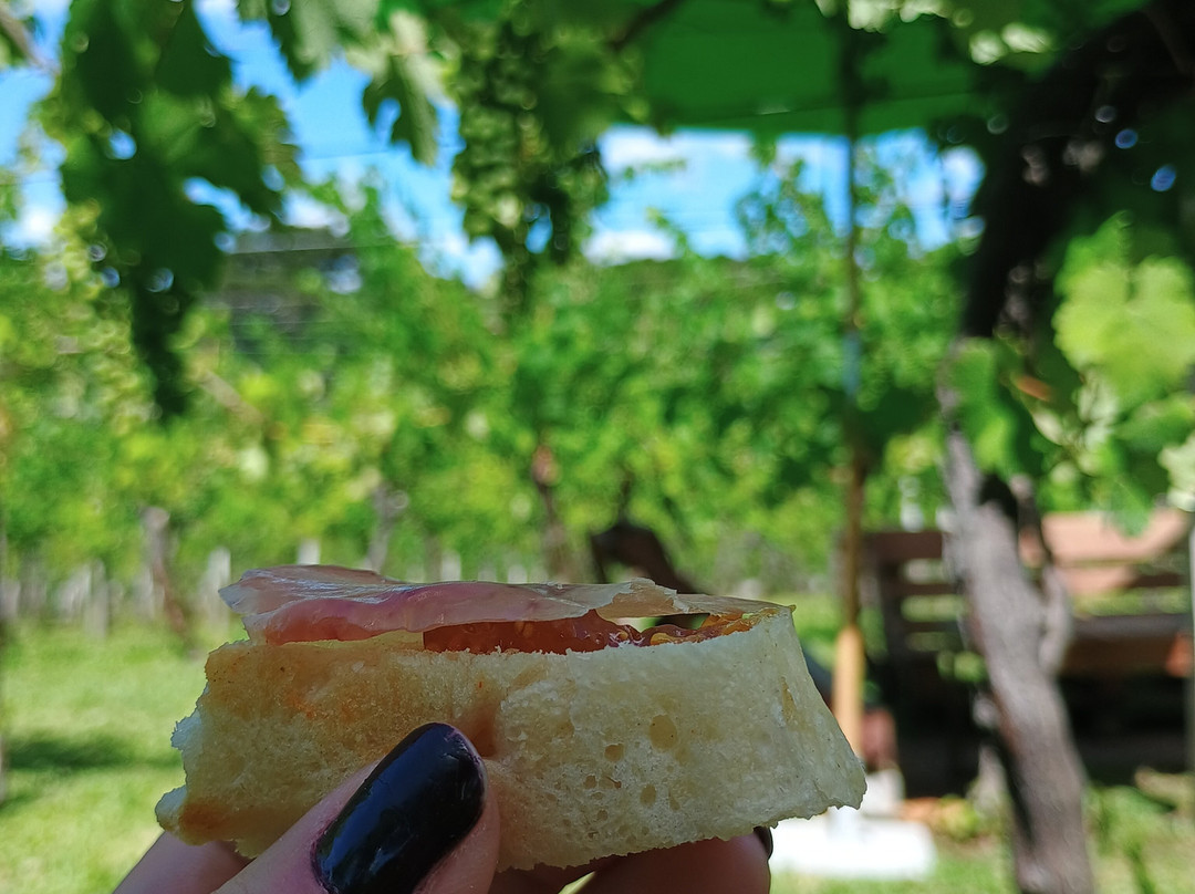 Vinhos Larentis-本图贡萨尔维斯必去景点