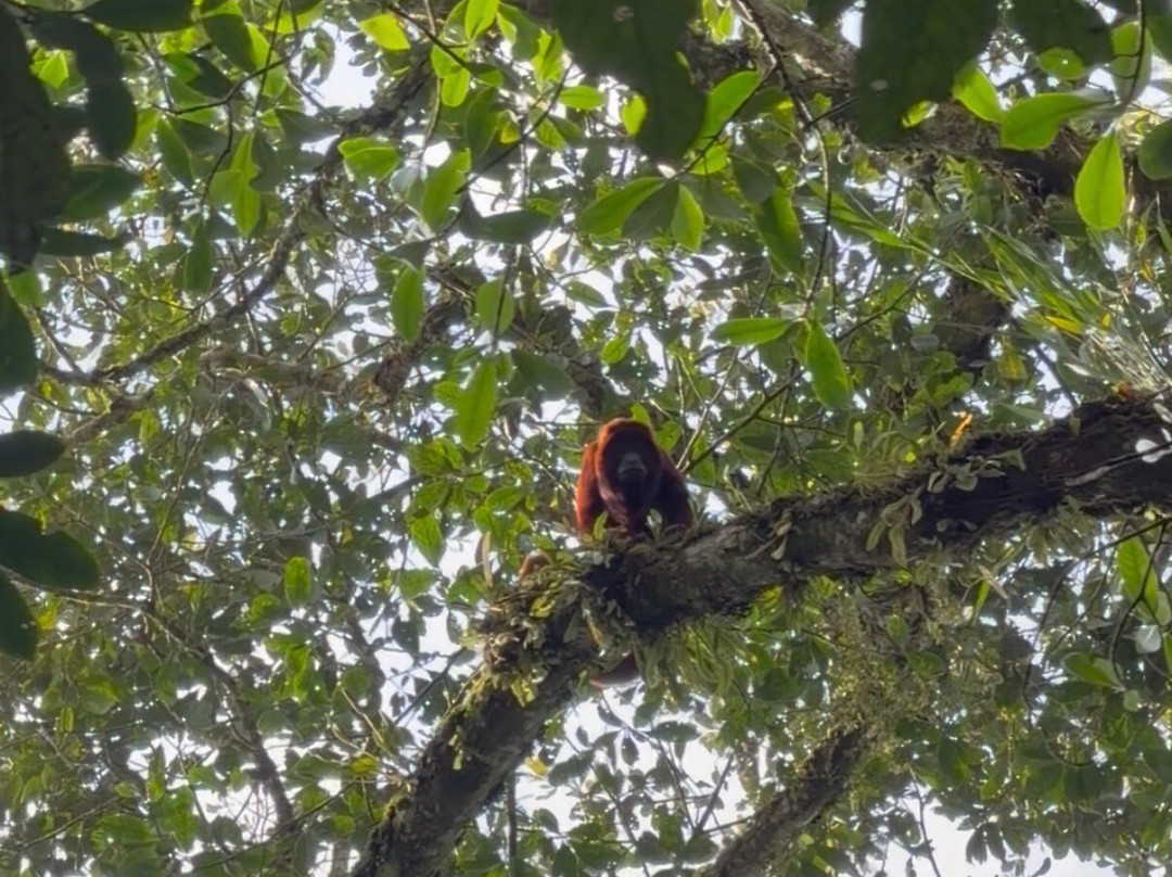 El Palacio del Barbas-Filandia必去景点