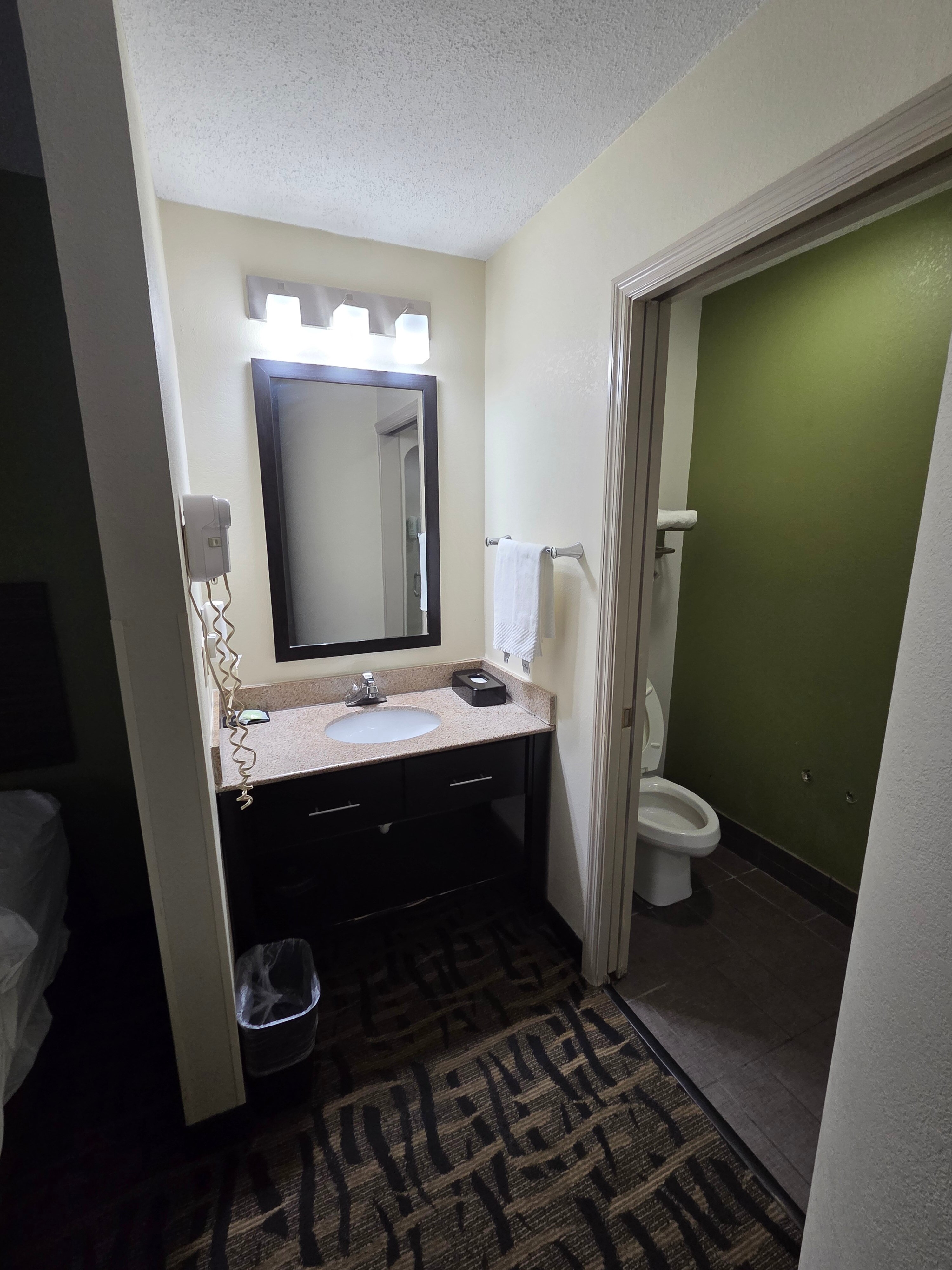 Sleep Inn Decatur I-72-浴室