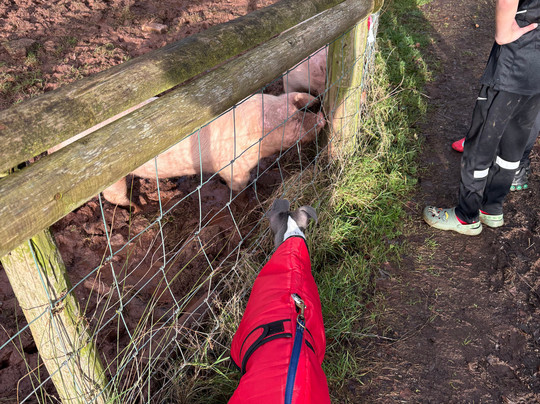 Greenmeadow Community Farm-Cwmbran必去景点