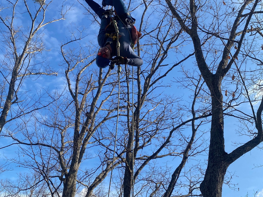 Smoky Mountain Ziplines-皮金福奇必去景点