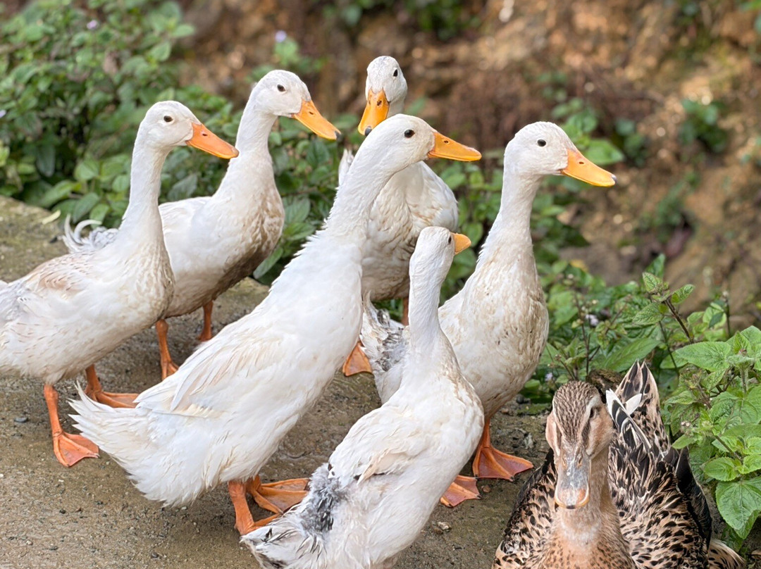 VietAsia Travel-河内必去景点