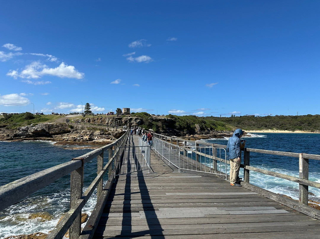 Bare island-La Perouse必去景点