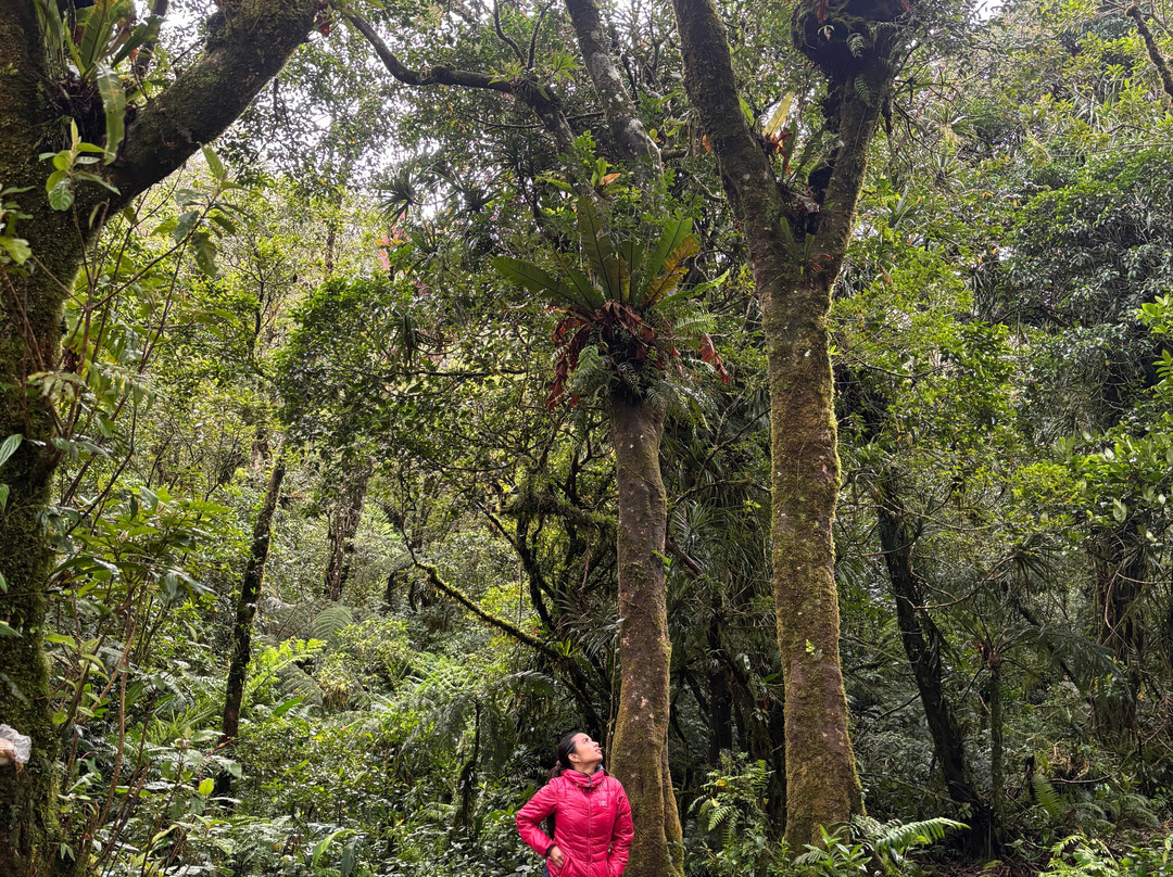 Mount Talinis-杜马盖地必去景点
