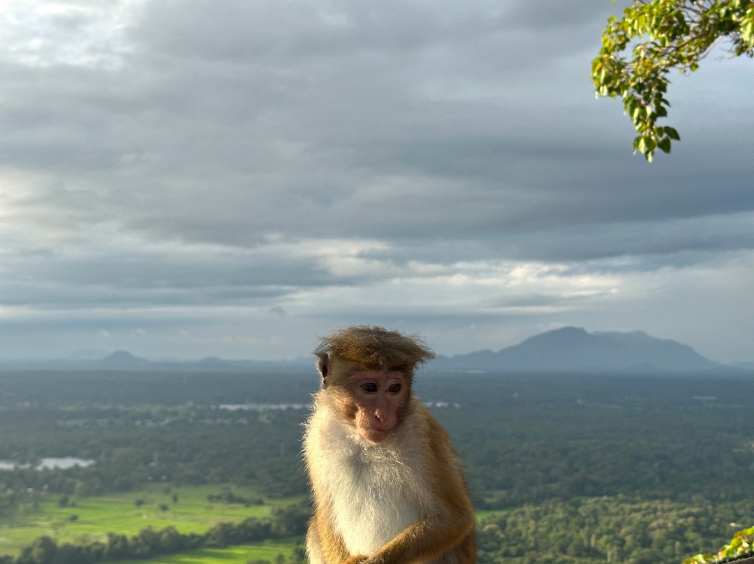 Around Pearl Tours-唐卡拉必去景点