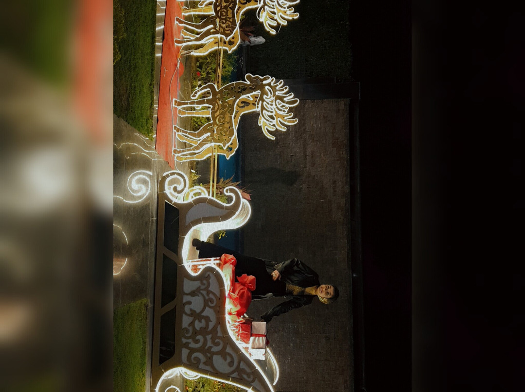 Triumph Plaza Hotel主图