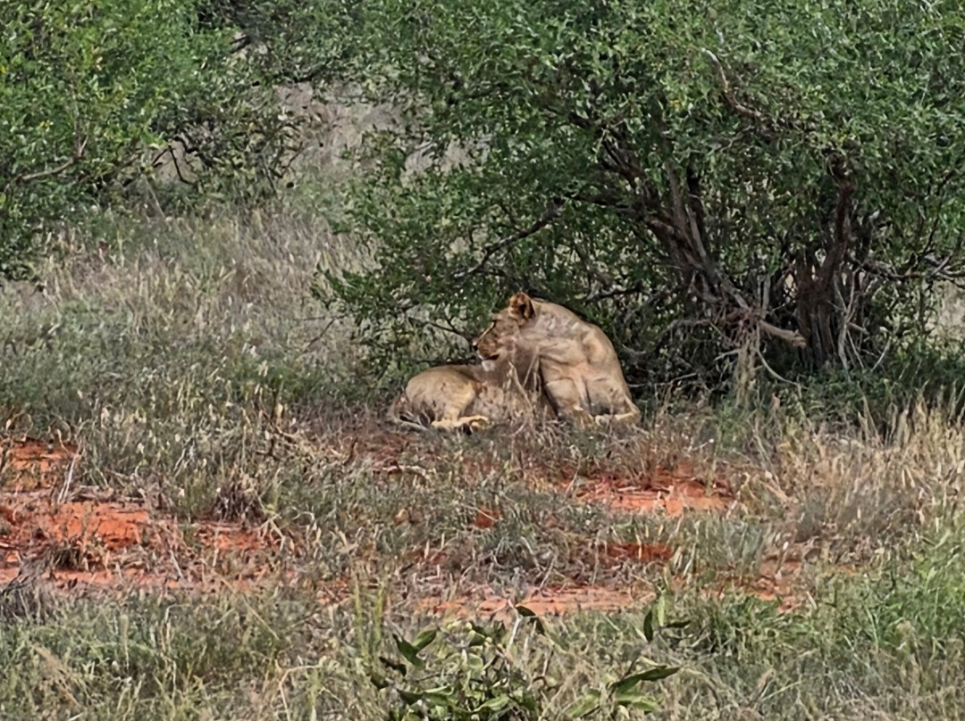 Ombre Tours & Safaris-瓦塔木必去景点